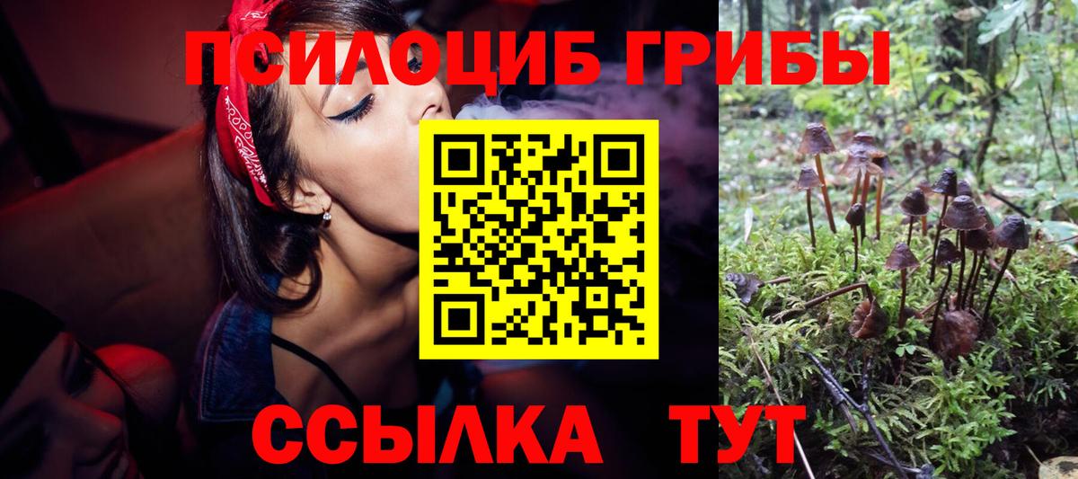 Галлюциногенные грибы прущие грибы Люберцы